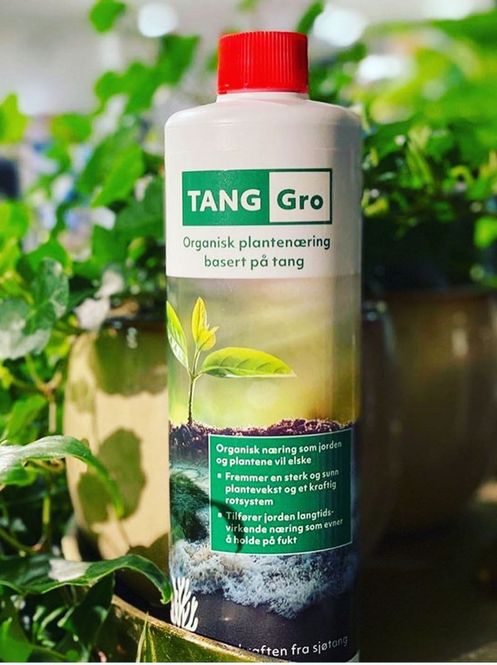Hovedbilde TANG Gro plantenæring av tang, 500ml